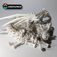 Still2.png Hollow Dragon, Articulating Bone Dragon, Halloween, Cinderwing3D, Print-in-place