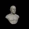 29.jpg Dr Dre Bust 3D print model