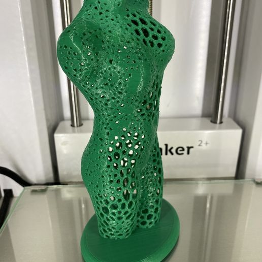 IMG_0815.jpg STL file Female torso (voronoi)・3D printing design to download, RaimonLab