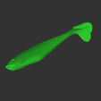 Snimok-ekrana-2025-12-27-115148.png Lure Berkley Powerbait Cullshad Mixpack darkwater -Soft Plastic Fishing Lure STL Model for Mold Making