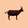 GOAT3.jpg 🐐 Realistic Goat/Buck Miniature for 3D Printing 🐐