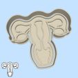 47-1.jpg Science and technology cookie cutters - #47 -  female reproductive system (style 1)