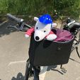 Gregor.JPG Stuffed Animals Bicycle Helmets (Stoffie Fahrradhelme)