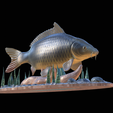 carp-high-quality-klacky-1-12.png big carp 2.0 underwater statue detailed texture for 3d printing