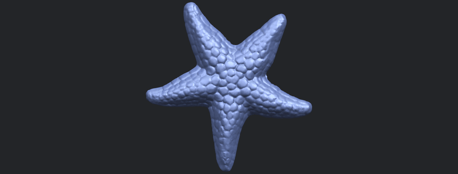 12_TDA0608_Starfish_02B01.png Download free file Starfish 02 • Template to 3D print, GeorgesNikkei