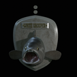 White-grouper-head-trophy-3.png fish head trophy white grouper / Epinephelus aeneus open mouth statue detailed texture for 3d printing