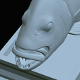 Dentex-mouth-statue-72.png fish Common dentex / dentex dentex open mouth statue detailed texture for 3d printing