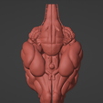 13.png 3D Model of Canine Brain with Arteries