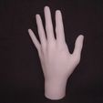 hand22.jpg Hand Finger Shaped Object Key Item Holder