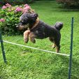 Photo-2017-08-17-13-29-00_5540.jpg Quick Made Obstacles For Dog Agility