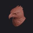 martial_eagle_0015.jpg Martial Eagle Head Bust Wall Mount
