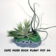 cute-moss-rock-plant-pot-04e.jpg Cute moss rock plant pot 04