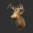 7-ZBrush-Document.jpg Deer head-WALL MOUNTED
