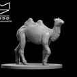 Camel_Updated_ad.JPG Misc. Creatures for Tabletop Gaming Collection