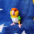 IMG_20240617_155042630.jpg Caique