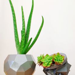 1605619000061.jpg STL file Polyhedral vases・3D print design to download