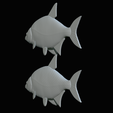 Bream-fish-35.png fish Common bream / Abramis brama solo model detailed texture for 3d printing