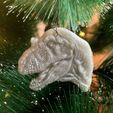 Rex_print.jpg Prehistoric dinosaur-animal Christmas decoration set - pre-supported