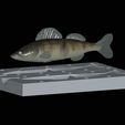 Am-bait-zander-13cm-6mm-eye.png AM bait zander / pikeperch fish 13cm breaking form for predator fishing