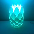 DSC_1951.JPG Pinecone lamp