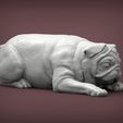 pug-for-3d-printing-3d-model-310701d378.jpg pug is sleeping 3D print model