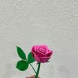 WhatsApp-Image-2026-02-12-at-04.13.53-2.jpeg Modular Rose  - Snap-Fit Design valentine day