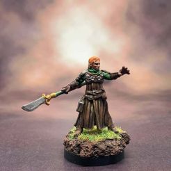 61819970_10156650663929263_7327151504748445696_o.jpg Free STL file Ginger-Witcher, a Remix・3D printer design to download
