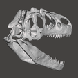 Screenshot-42.png Allosaurus dinosaur skull