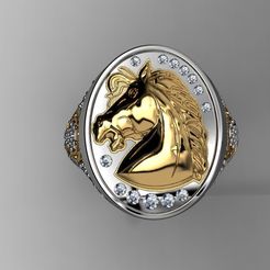 4.jpg Free STL file 3d head-horse-signet-ring・3D print object to download
