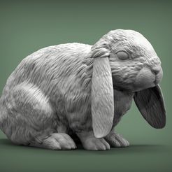 Rabbit1.jpg Rabbit American Fuzzy Fop 3D print model