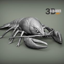 crayfish-1.jpg Crayfish 3D print model