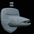Barracuda-solo-model-20.png fish head great barracuda trophy statue detailed texture for 3d printing