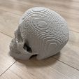 IMG_3837.jpg Pixelated Skull