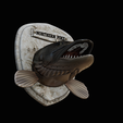 northern-pike-5.png head trophy NORTHERN PIKE (ESOX LUCIUS) open mouth statue detailed texture for 3d printing