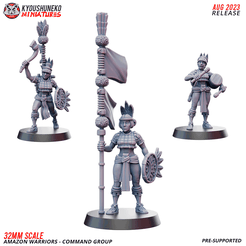 FTY_02_AMAZON_WARRIORS_COMMAND_GROUP.png STL file amazon warriors command group・3D printer model to download