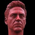 Screenshot_1.jpg Tony Stark-Robert Downey JR Head