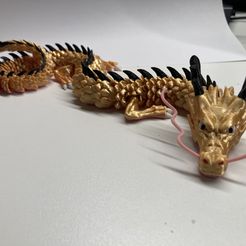 Articulated Dragon