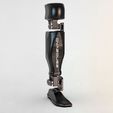 18.jpg STL file ROBOTIC LEG PROSTHESIS FOR STUDENTS・3D print object to download