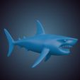 Shark_2.jpg Cartoon Shark