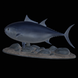 Bluefin-tuna-3.png Atlantic bluefin tuna / Thunnus thynnus / Tuňák obecný  fish underwater statue detailed texture for 3d printing