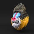 Mandrill02.jpg Mandrill for MMU2S and Pallete2S - Multi Material Upgrades with 5 materials - Solid single file included for painters as well