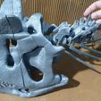20241114_202303.jpg Череп карнотавра 30 см 3d печать 3d модель