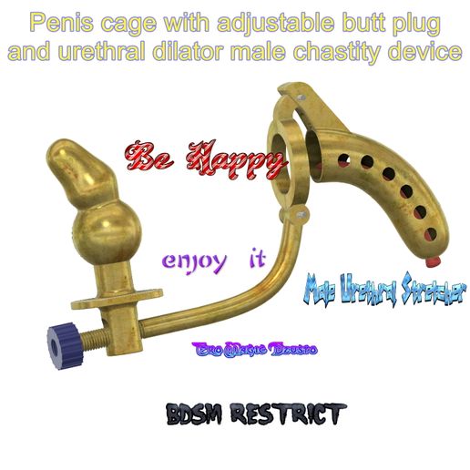 Penis cage with adjustable butt plug and urethral dilator male chastity device Prostate best way walking Stimulation Anal Plug For Man cuckold aph-370 3d print cnc
