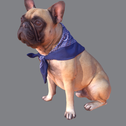 Captura.PNG Archivo STL gratis French Bulldog・Plan para descargar y imprimir en 3D