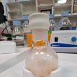Matraz_4.jpg Flask holder 100 mL Laboratory