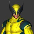 6.jpg WOLVERINE (UCM)