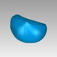 d.jpg chestnut 栗　HIGH QUALITY 3D 　SCAN　fruit　SCANNER:ATOS
