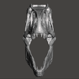 Screenshot-39.png Allosaurus dinosaur skull