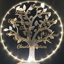20221221_173141.jpg Luminous tree of life