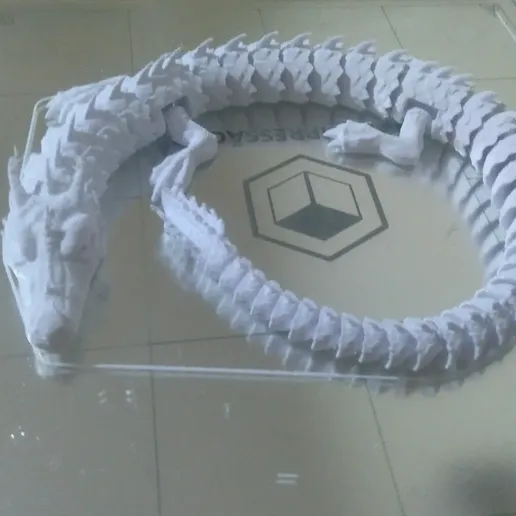 IMG_20220318_115256_467.jpg Articulated  Silver Dragon PRINT IN PLACE